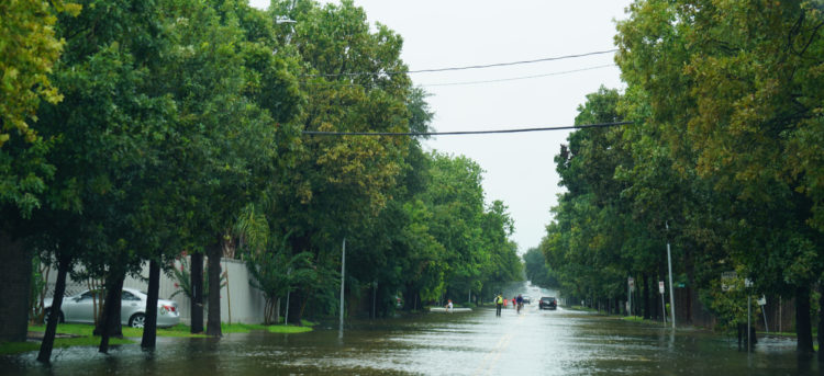 How to Apply for an SBA Disaster Loan After Hurricane Florence