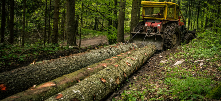 Logging Equipment Financing Options in 2022